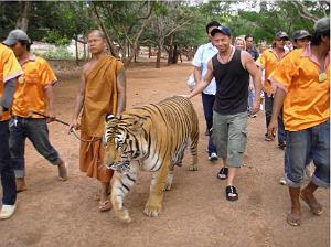 THAILANDE LE TEMPLE DES TIGRES (2)